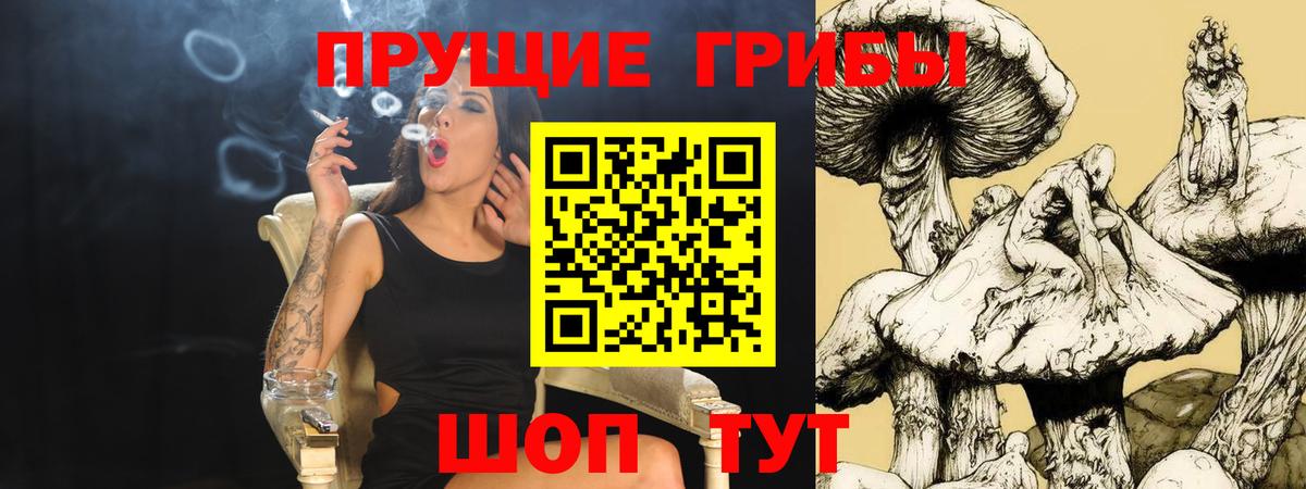 Псилоцибиновые грибы прущие грибы Краснодар